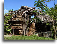 Carib Shanty::Dominica, Lesser Antilles::