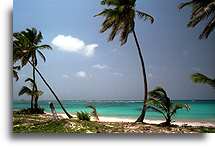 Turquoise Water::Dominican Republic, Caribbean::