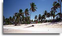 Silk Sand in Bavaro::Dominican Rep., Caribbean::