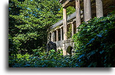 Overgrown with Greenery::Folly Ruins, Jamaica::