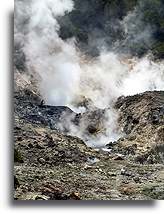 Steaming Vents::St. Lucia, Caribbean::