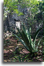 Plantation Building::North Caicos, Turks and Caicos::