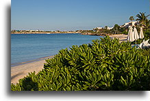 Sapodilla Bay #3::Providenciales, Turks and Caicos::