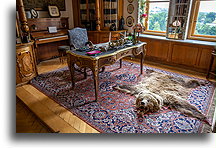 Writing-desk::Raduň Palace, Czechia::