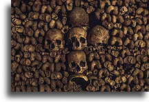 Catacombs of Paris