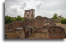 Flavian Palace::Palatine Hill, Rome, Italy::