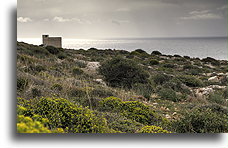 Ħamrija Tower::Malta::