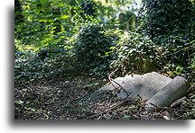 Fallen Gravestone::New Jewish Cemetery, Kraków, Poland::