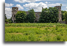 Palace from the 17th century::Tarłów Palace, Podzamcze Piekoszowskie, Poland::