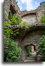 Palace in Ruins #2::Tarłów Palace, Podzamcze Piekoszowskie, Poland::