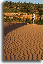 On the Dune::Coral Pink Sand Dunes, Utah, USA::