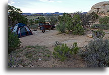 Morning in the Needles District::Canyonlands National Park, Utah, USA::