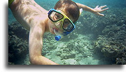 Snorkeling::Boy::