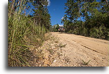 Way back::Mountain Pine Ridge Forest Reserve, Belize::