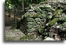 Uncovered Structure::El Pilar, Belize::