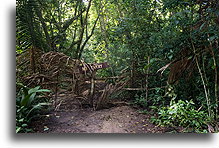 No Entry to Guatemalan Side::El Pilar, Belize::