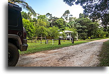 Hill Bank Field Station::Rio Bravo Conservation Area, Belize::