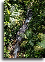 Naranjo Creek::Mistico Hanging Bridges, Costa Rica::