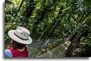 Mistico Hanging Bridges