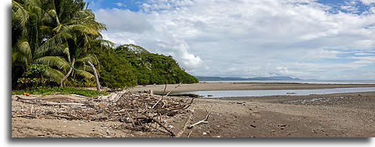 Playa Los Cedros::Montezuma, Costa Rica::