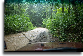 Downstream with the river::Peñas Blancas, Costa Rica::