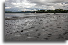 Muddy Beach::Playa Panamá, Costa Rica::