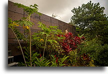 Garden::Uvita, Costa Rica::