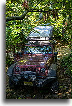 Cocoa Fruit Above the Head::Takalik Maya Lodge, Guatemala::