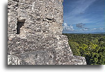 View from Temple 216::Yaxhá, Guatemala::