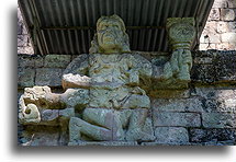 Howler Monkey God::Copán, Honduras::