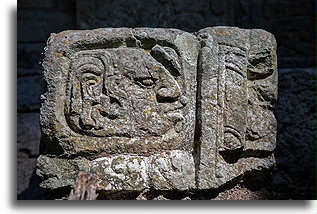 Syllabic Glyph::Copán, Honduras::