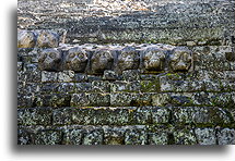 Skulls Mean Human Sacrifice::Copán, Honduras::