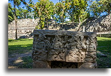 Altar Q::Copán, Honduras::