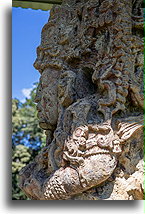 Stele C, AD 730::Copán, Honduras::