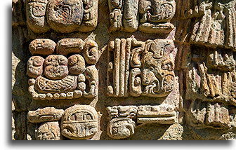 Back of Stele A::Copán, Honduras::