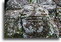 Toad #1::Copán Ruinas, Honduras::