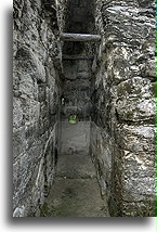 Palace Room #1::Calakmul, Campeche, Mexico::