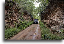 Road to Kankirixche #2::Cenote Kankirixche, Yucatán, Mexico::