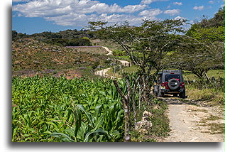 Winding Road::Chinkultic, Mexico::