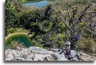 Cenote Below::Chinkultic, Mexico::