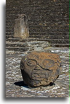 The Grasshopper's head::Cholula, Puebla, Mexico::