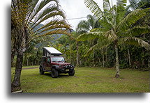 Secluded Place::Ixtaczoquitlán, Veracruz, Mexico::