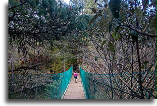 Hanging Bridges #1::El Arcotete, Chapas, Mexico::