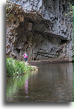 Small River::El Arcotete, Chapas, Mexico::