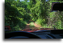 Road to Tabi::Hacienda Tabi, Yucatán, Mexico::