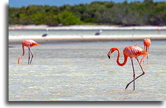 Quintana Roo