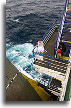 Eva Aboard a Ferry::Ferry from La Paz to Mazatlan, Mexico::