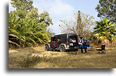 In the Shade of Palms::San Bernardo, Michoacán, Mexico::