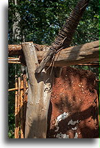 House Pillar::Labná, Yucatán, Mexico::