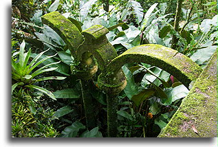 Arches::Las Pozas, San Luis Potosi, Mexico::